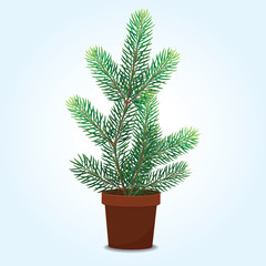 Christmas tree pot