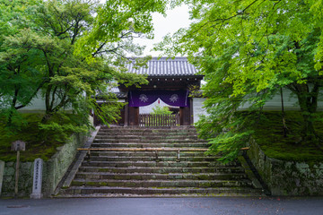 京都　曼殊院門跡　新緑