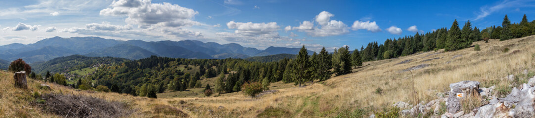 Fototapeta na wymiar panorama du massif des Vosges