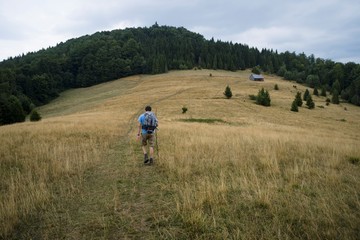 Hiking Man in Gorce Mountains - obrazy, fototapety, plakaty