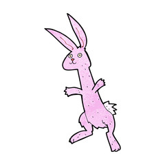 cartoon rabbit