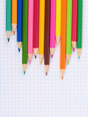 Obraz premium color pencils against a sheet in cage