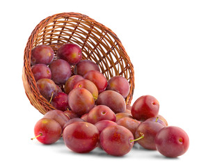 basket full of fresh plums