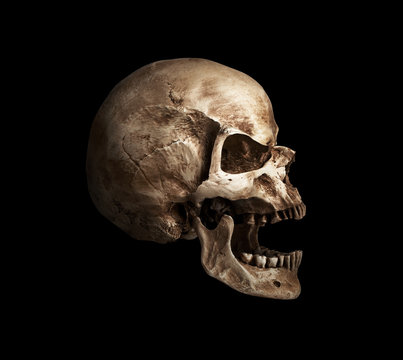 skull-open mouth