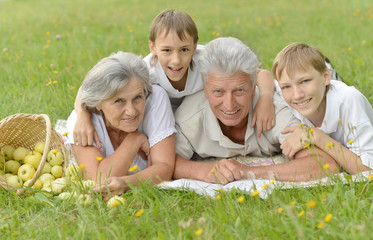 Fototapeta premium Smiling family on grass