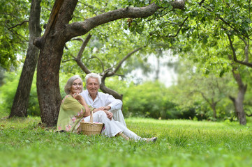 Naklejka na ściany i meble Amusing old couple on picnic