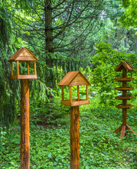 Кормушки для птиц в парке