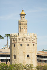 Fototapeta na wymiar torre del oro in sevilla