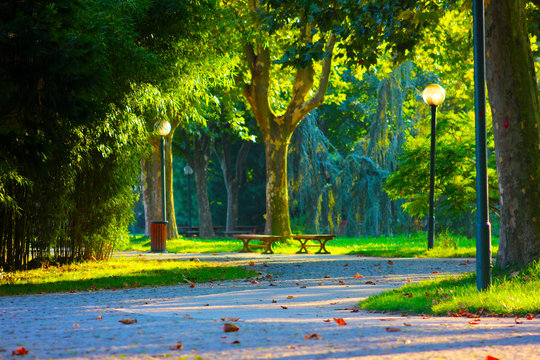 park