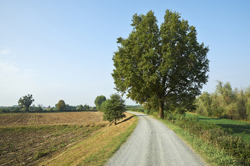 pista ciclabile