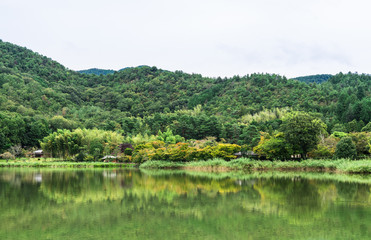 京都　色付き始めた広沢池の紅葉
