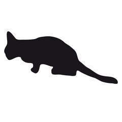 Black silhouette of cat