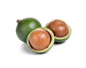 fresh macadamia nut on a white background