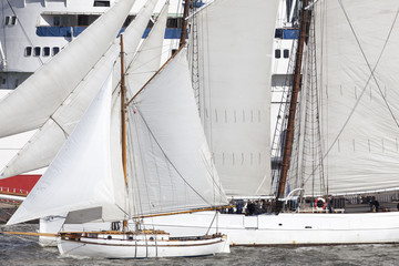 Fototapeta premium Segelschiffe auf der Elbe in Hamburg, Deutschland