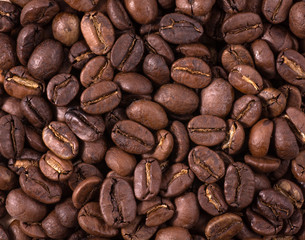 coffee beans