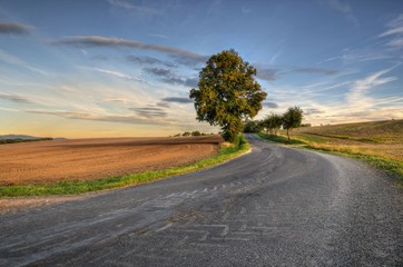 Road with curves