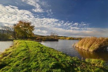 on the dam pond
