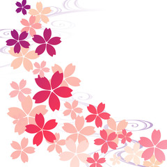 Fototapeta premium 桜