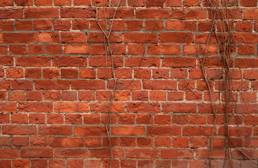 Texture of old red brick wall