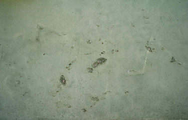 Texture of old wall covered with green stucco