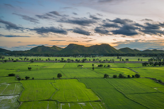 Field and Mountain landscape © Yothin