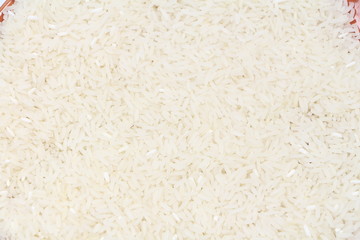 Thai rice seed