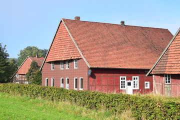 Schaumburger Rundwalm