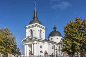 Resurrection Church (1803) - Razumovsky family vault. Baturin.