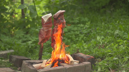 fish on an open fire the general plan