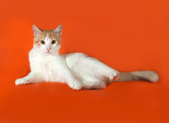 White and red kitten lying on orange