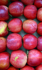Fresh apples