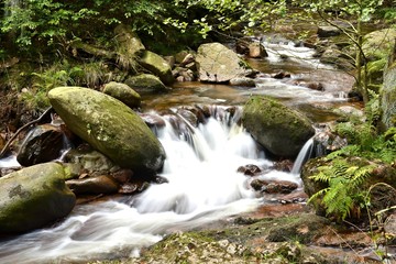 Der Fluss Ilse im romantischen Ilsetal