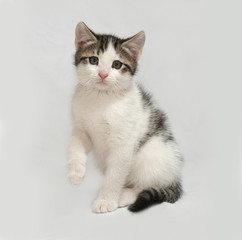 Striped and white kitten sitting on gray