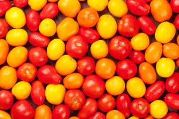 Fototapeta na wymiar Colorful tomatoes. Yellow, orange and red