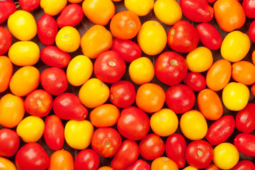 Colorful tomatoes. Yellow, orange and red