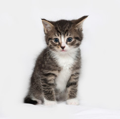 Striped and white kitten sitting on gray