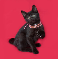 Black kitten sitting in pink collar on red