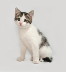 Striped and white kitten sitting on gray