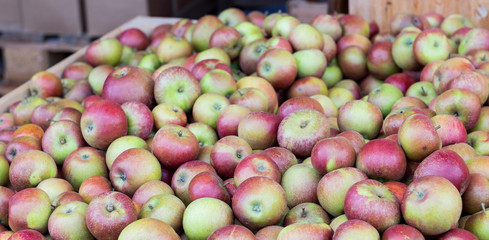 Äpfel auf dem Markt