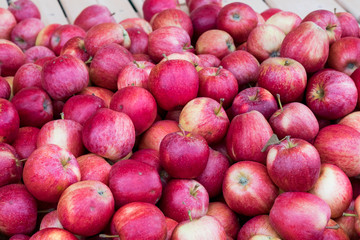 Äpfel auf dem Markt