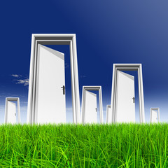 White door in grass with sky background