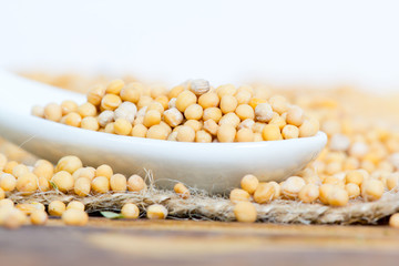 Mustard seed