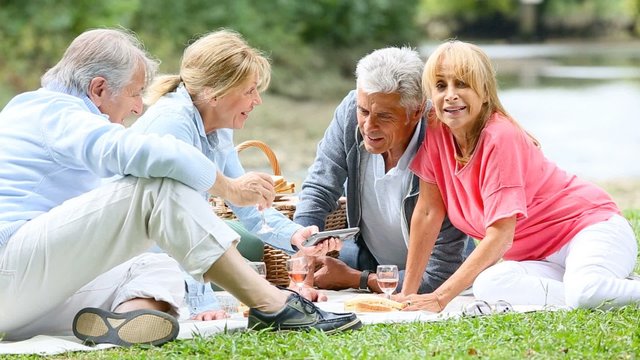 Group of senior people enjoying picnic on sunny day