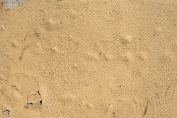 Texture of old wall covered with yellow stucco