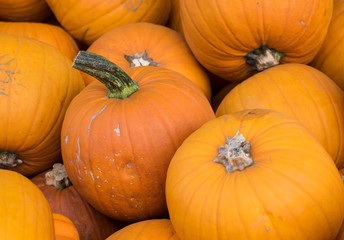 Kürbisse auf Haufen