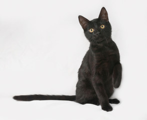 Black kitten sitting on gray