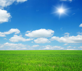Obraz premium landscape
