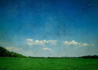 Fotobehang green field © photolink