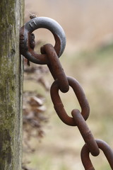 rusted chain