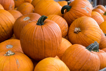 Kürbisse auf Haufen